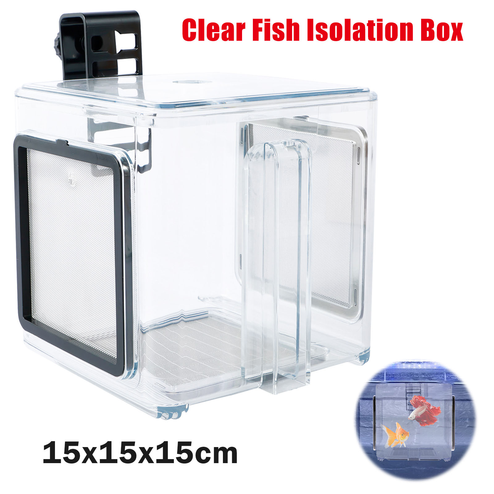 Aquarium Fish In Bowl - Aquarium Breeder Box Fish Breeding Box