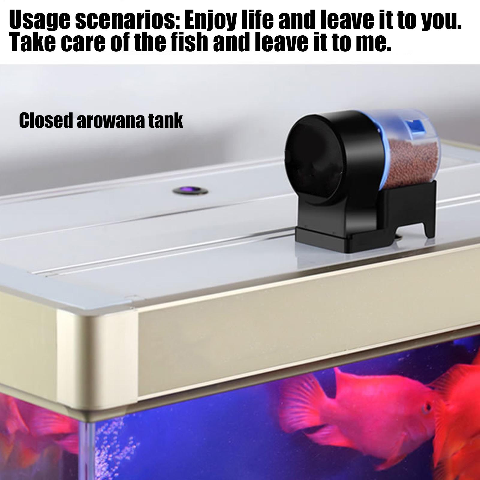 Fish Automatic Feeder Adjustab - Aquarium Fish Auto Feeder 评论和价格