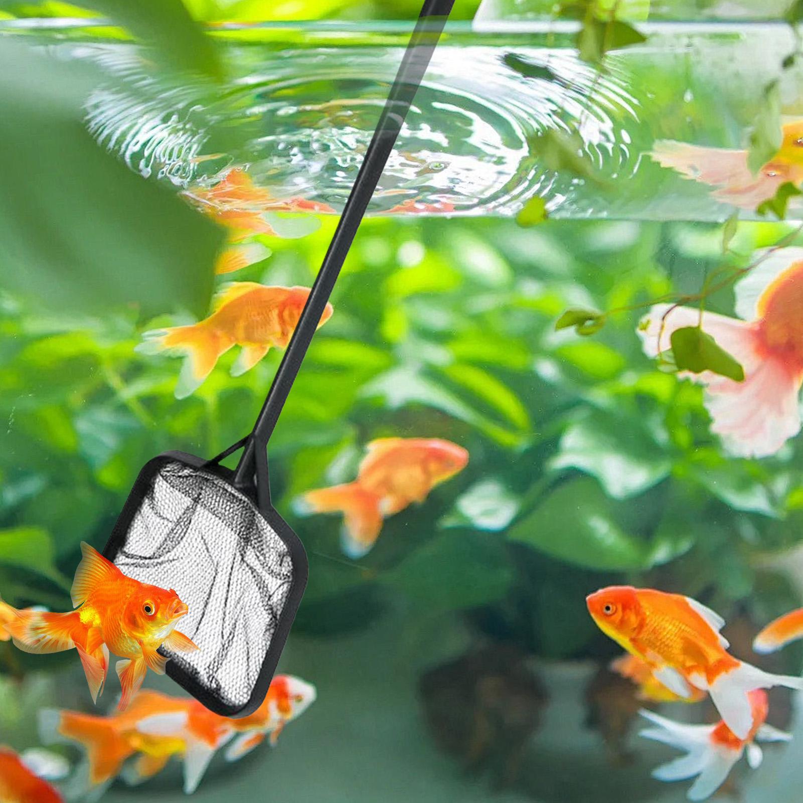 Pool Nets for Cleaning Portabl - Cleaner Fish Aquarium 评论和价格