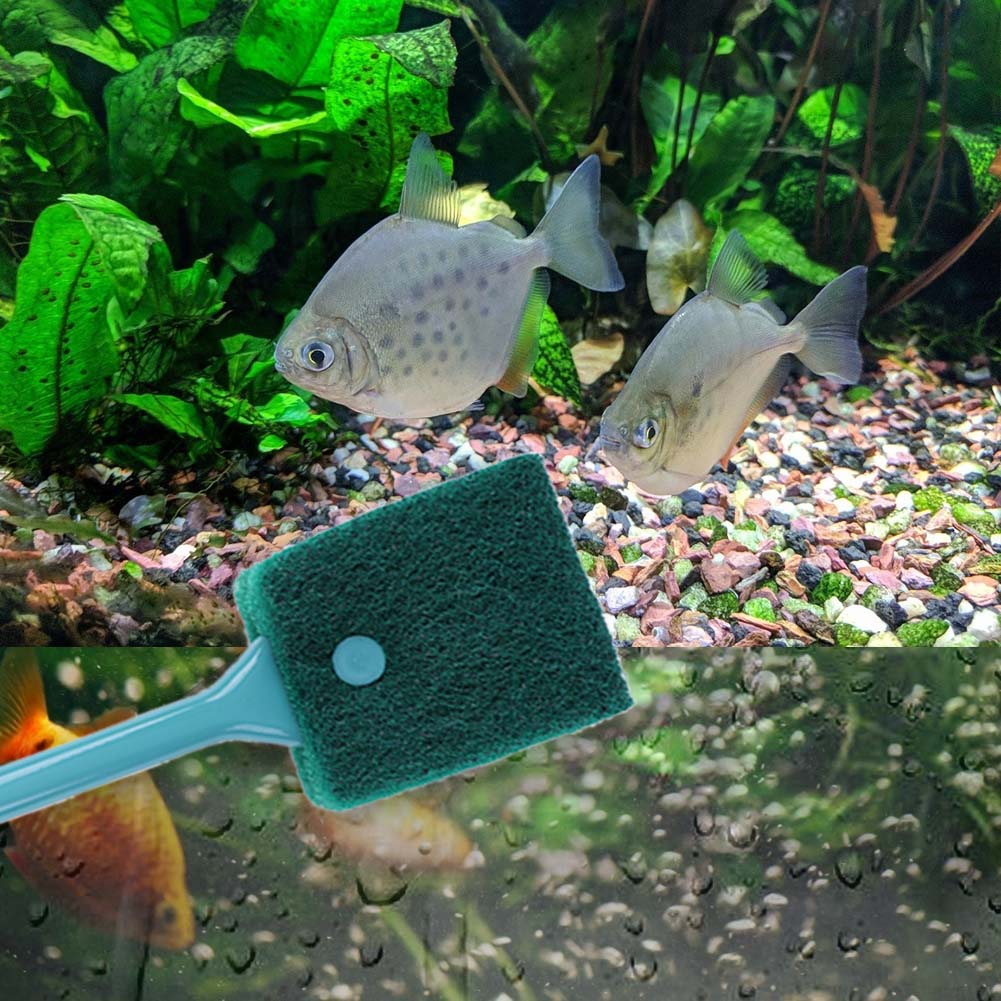 Double-sided Fish Tank Sponge  - Cleaner Fish Aquarium 评论和价格