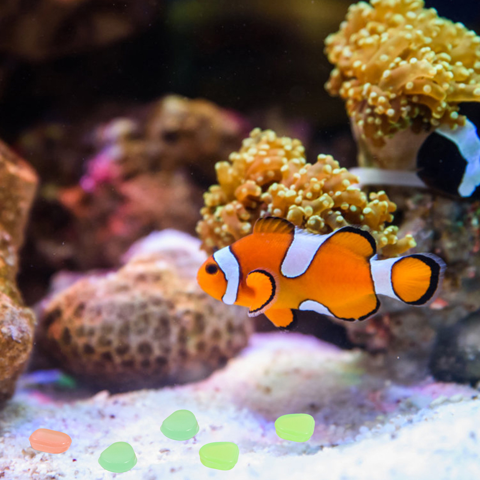 400pcs Night Glow Stones Small - Aquarium Fish That Glow In The Dark 评论和价格