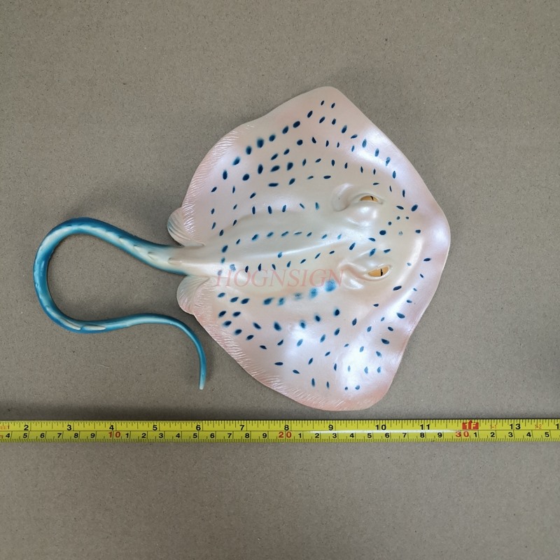 Aquarium Animal Model Toy Unde - Aquarium Fish Market 评论和价格