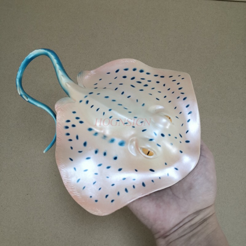 Aquarium Animal Model Toy Unde - Aquarium Fish Market 评论和价格