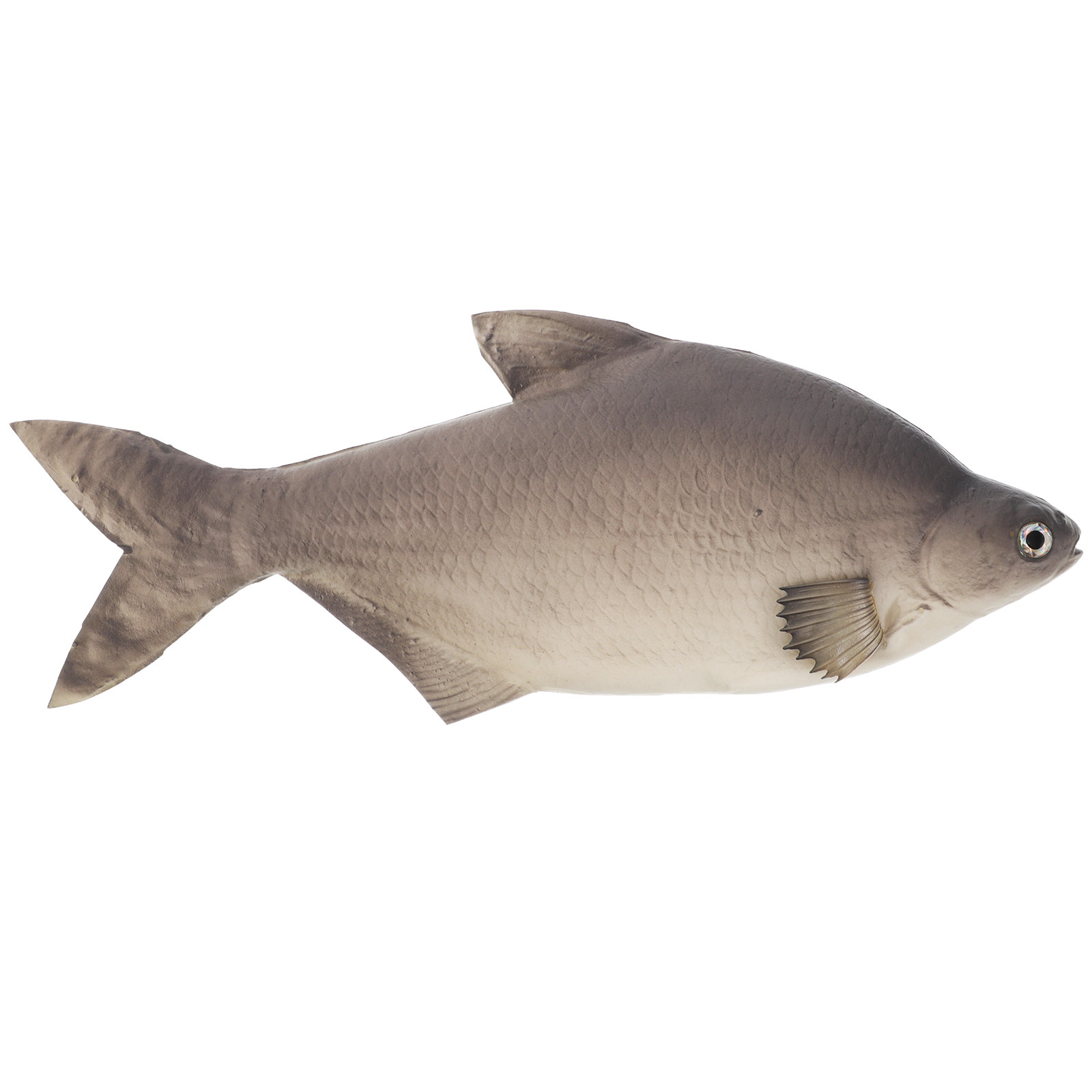 Detailed PU Simulated Fish Art - Aquarium Fish Market 评论和价格