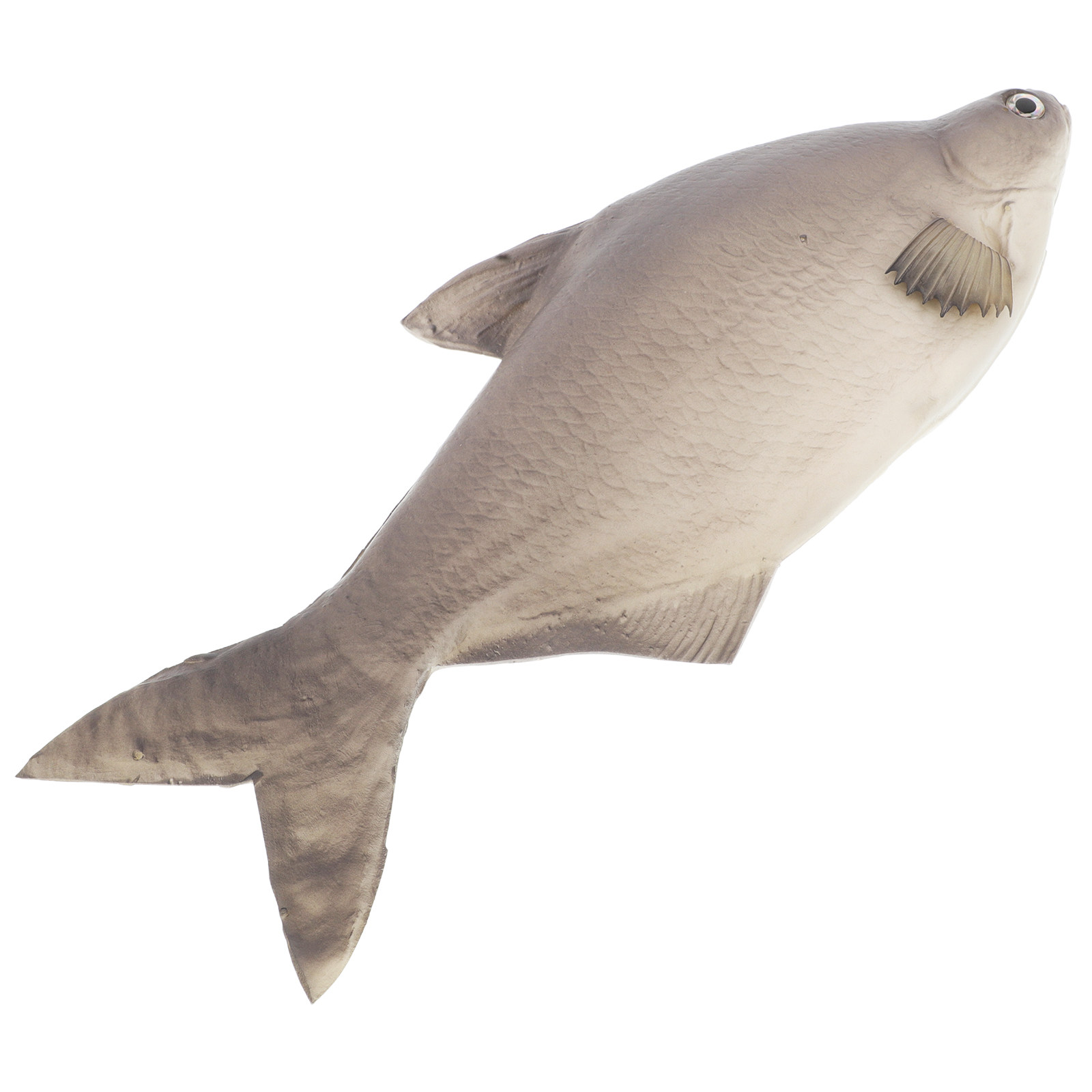 Detailed PU Simulated Fish Art - Aquarium Fish Market 评论和价格