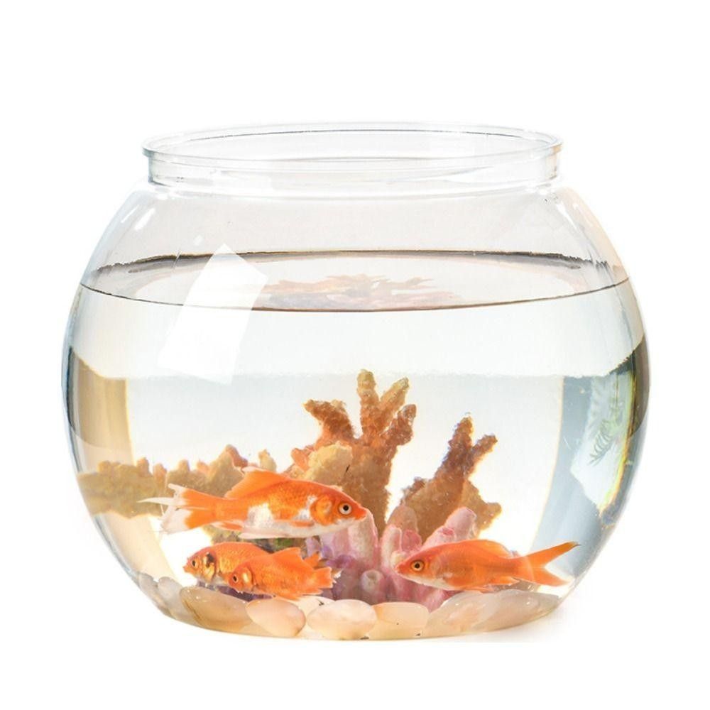 Portable Transparent Fish Tank - Aquarium Fish In Bowl 评论和价格