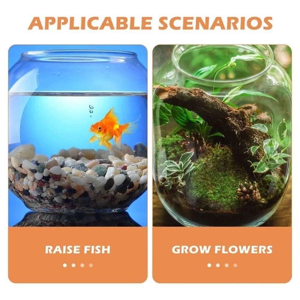Portable Transparent Fish Tank - Aquarium Fish In Bowl 评论和价格