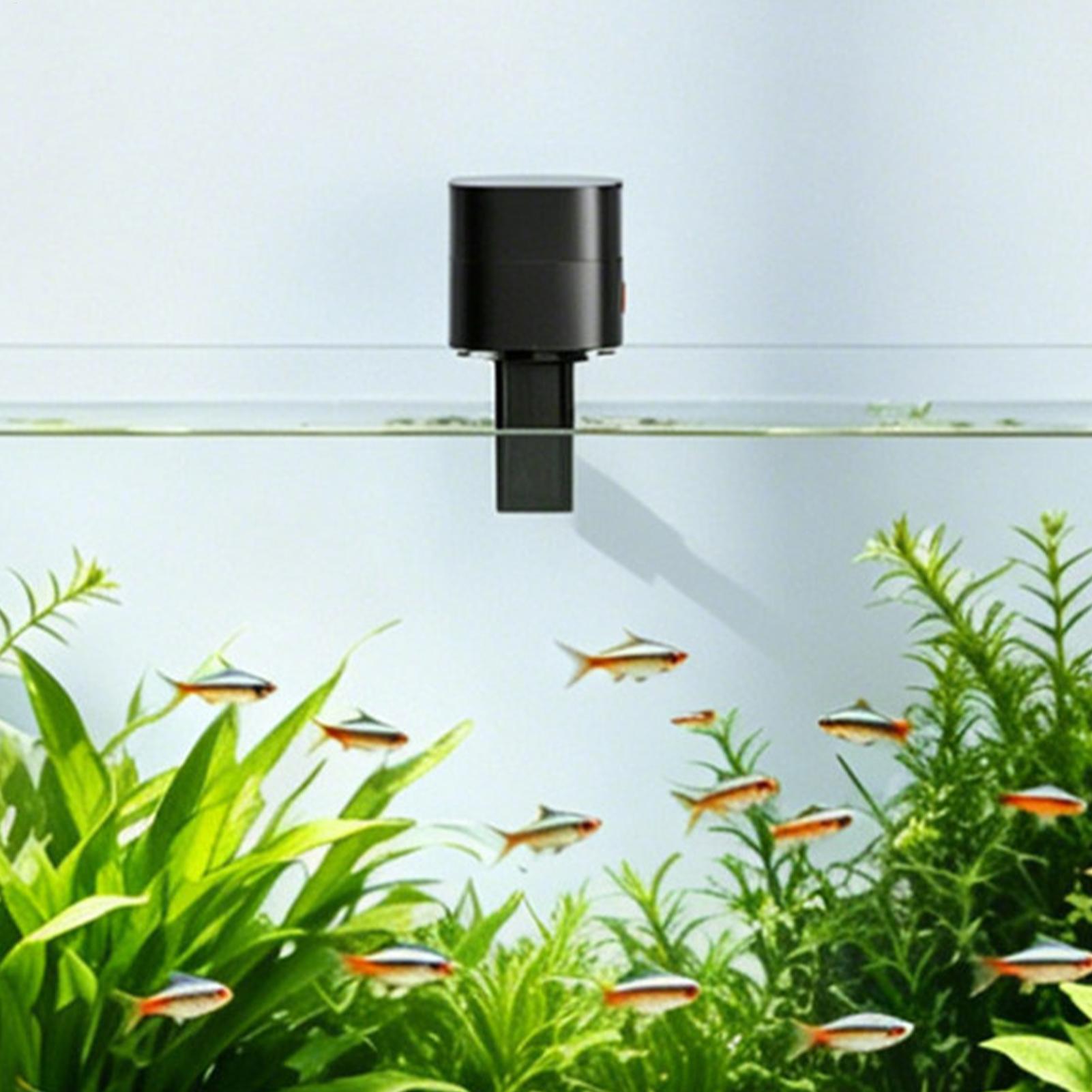 Automatic Fish Feeders Automat - Aquarium Fish Auto Feeder 评论和价格