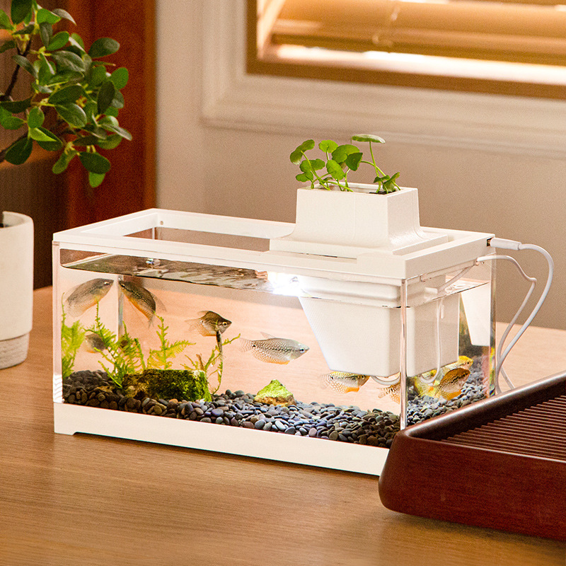 Fish Tank Aquarium Kits with W - Aquarium Fish In Bowl 评论和价格