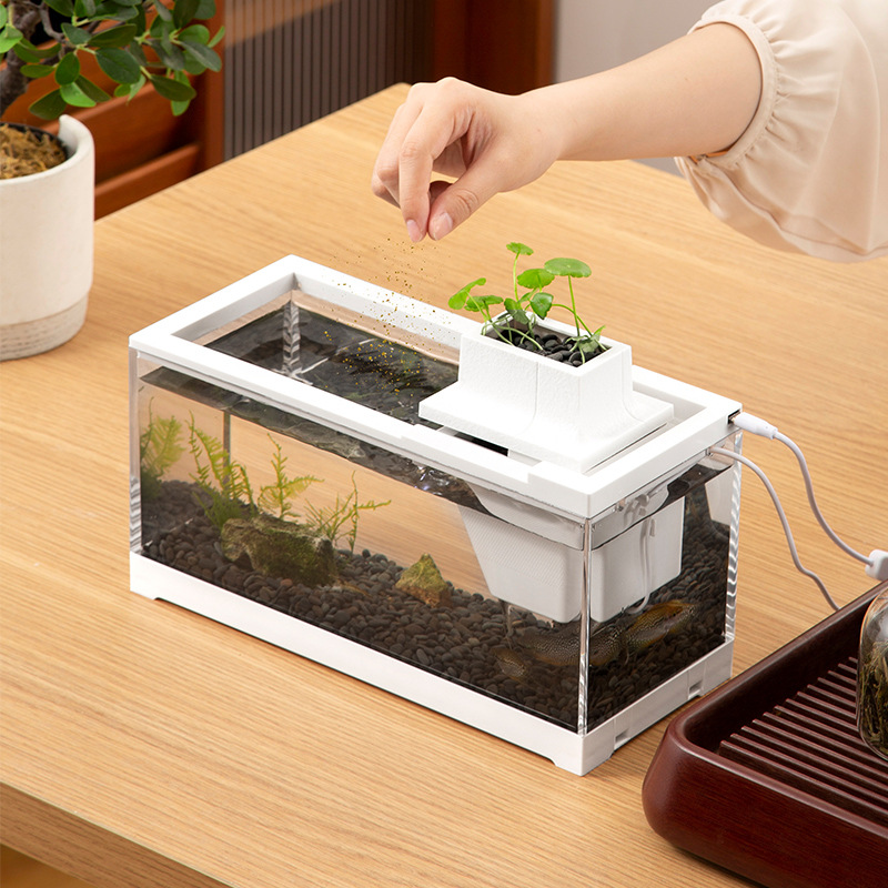 Fish Tank Aquarium Kits with W - Aquarium Fish In Bowl 评论和价格