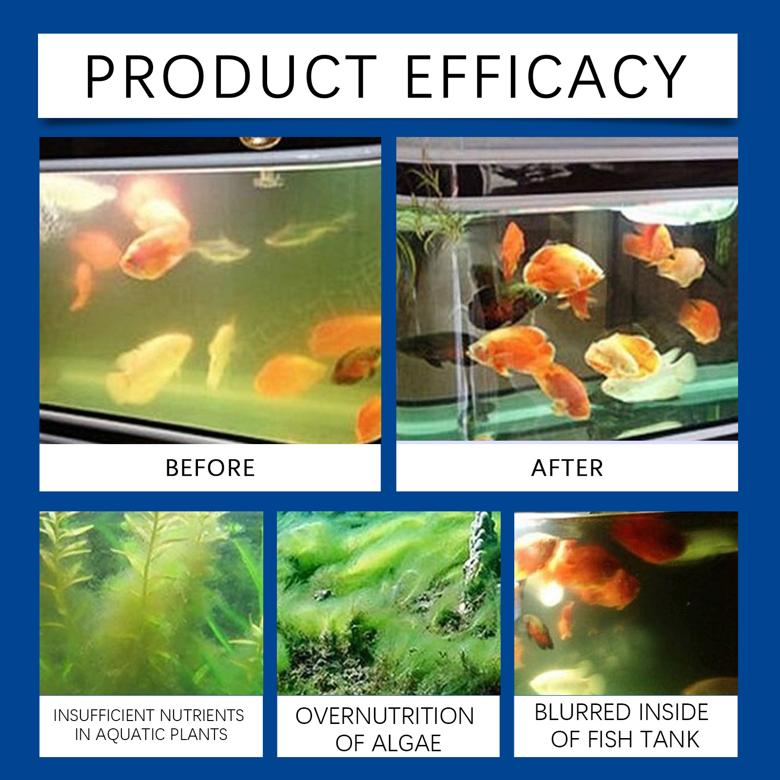 Aquarium Water Clarifier 100ml - Cleaner Fish Aquarium 评论和价格