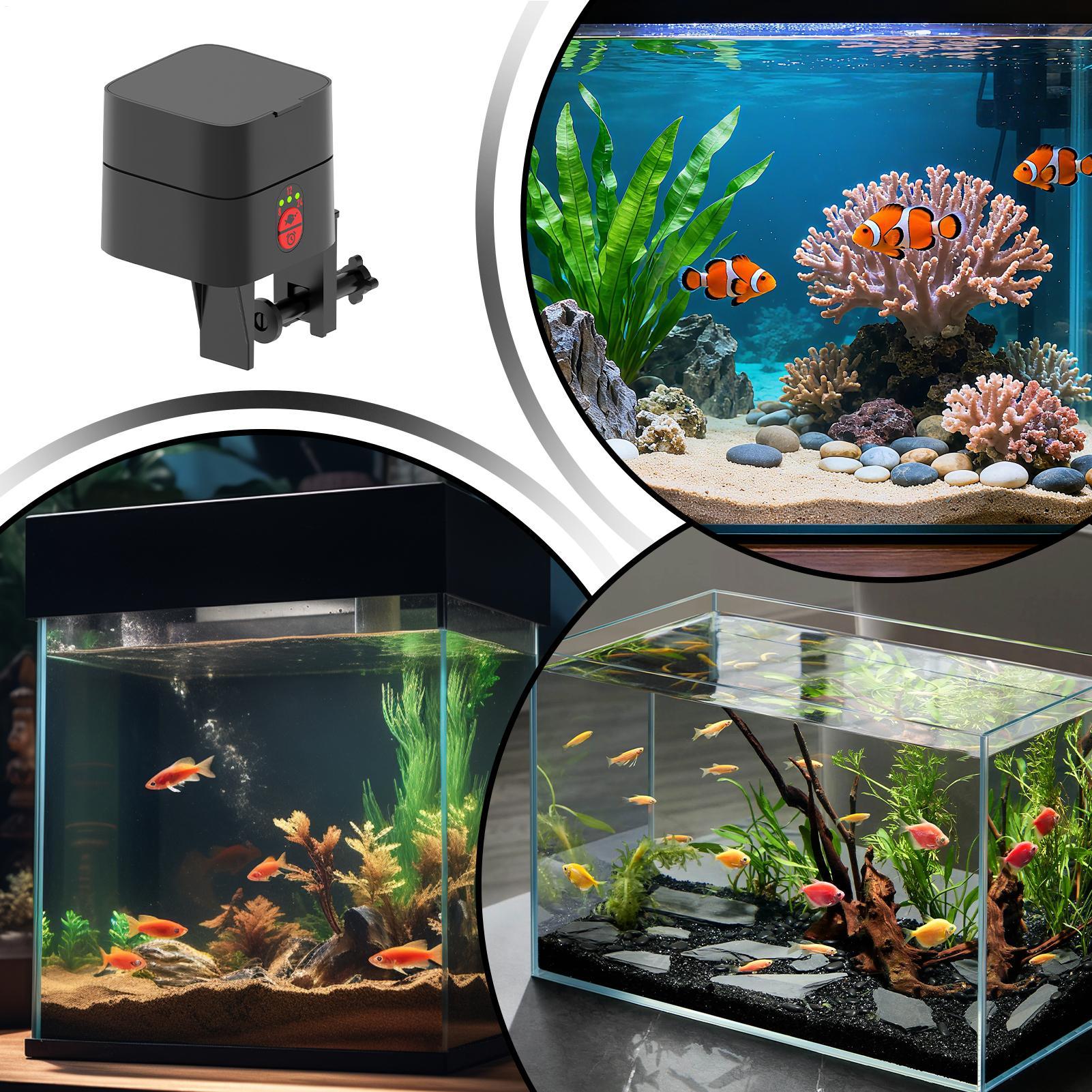 Automatic Turtle Feeder Automa - Aquarium Fish Auto Feeder 评论和价格