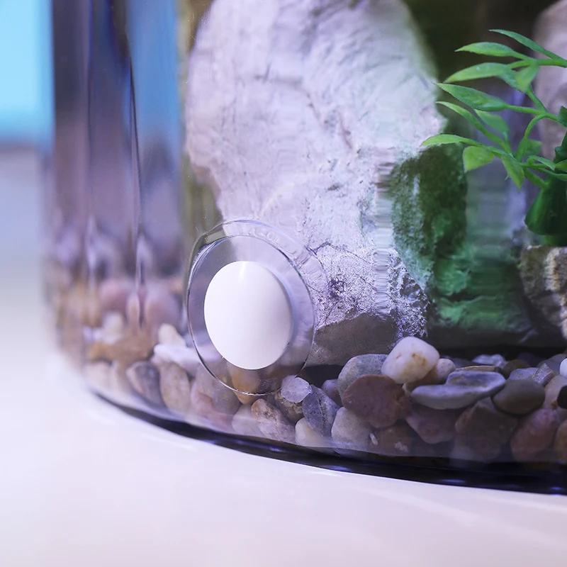 Compact Round Goldfish Bowl -  - Aquarium Fish In Bowl 评论和价格