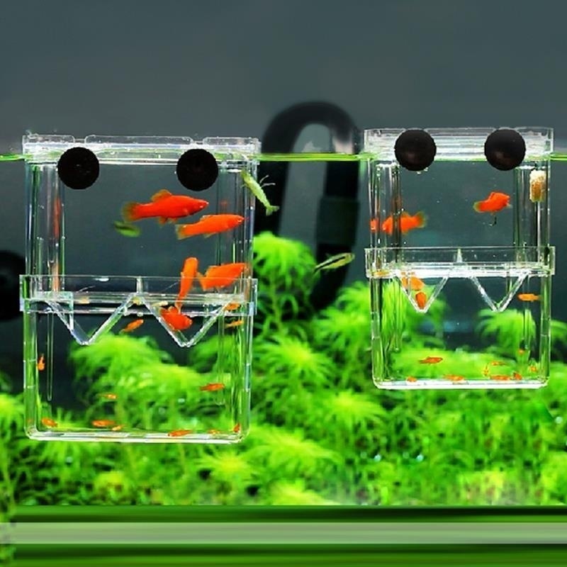 Multifunctional Fish Aquarium  - Aquarium Fish In Bowl 评论和价格