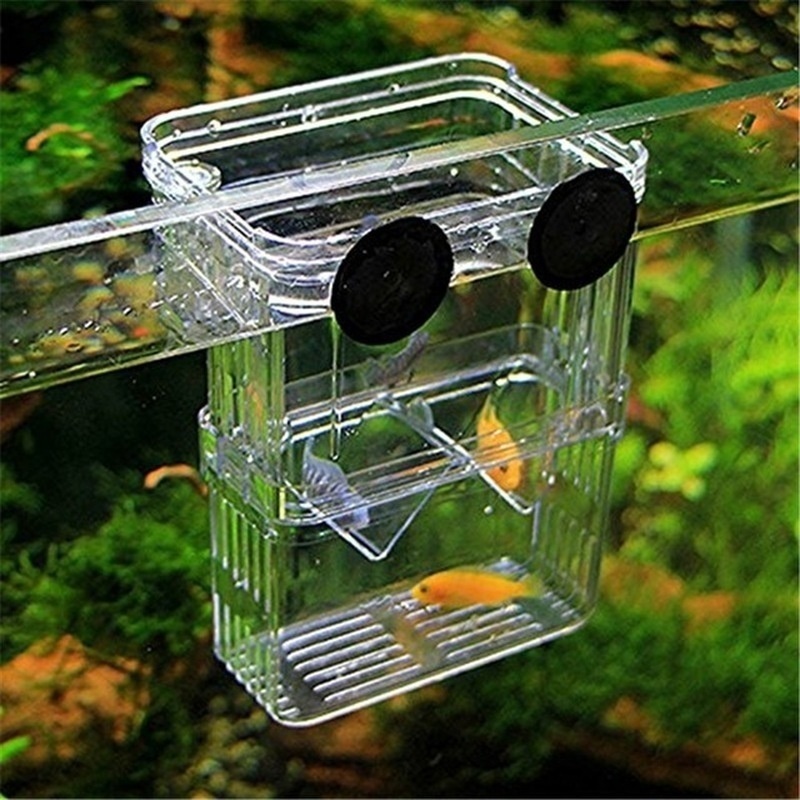 Multifunctional Fish Aquarium  - Aquarium Fish In Bowl 评论和价格
