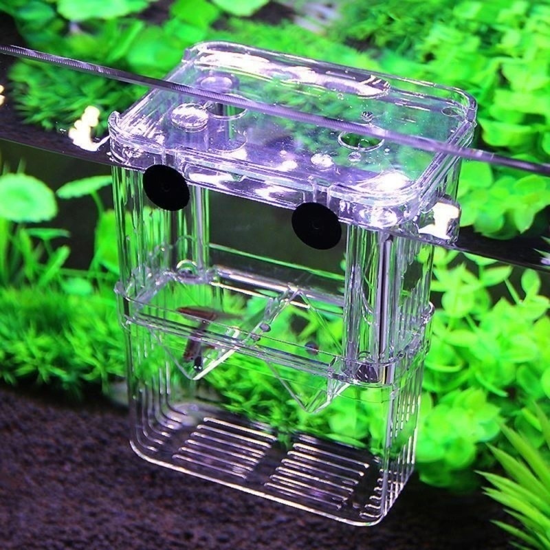 Multifunctional Fish Aquarium  - Aquarium Fish In Bowl 评论和价格