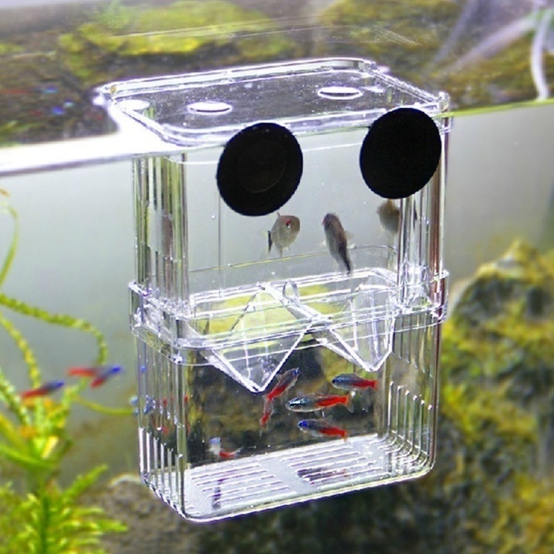 Multifunctional Fish Aquarium  - Aquarium Fish In Bowl 评论和价格