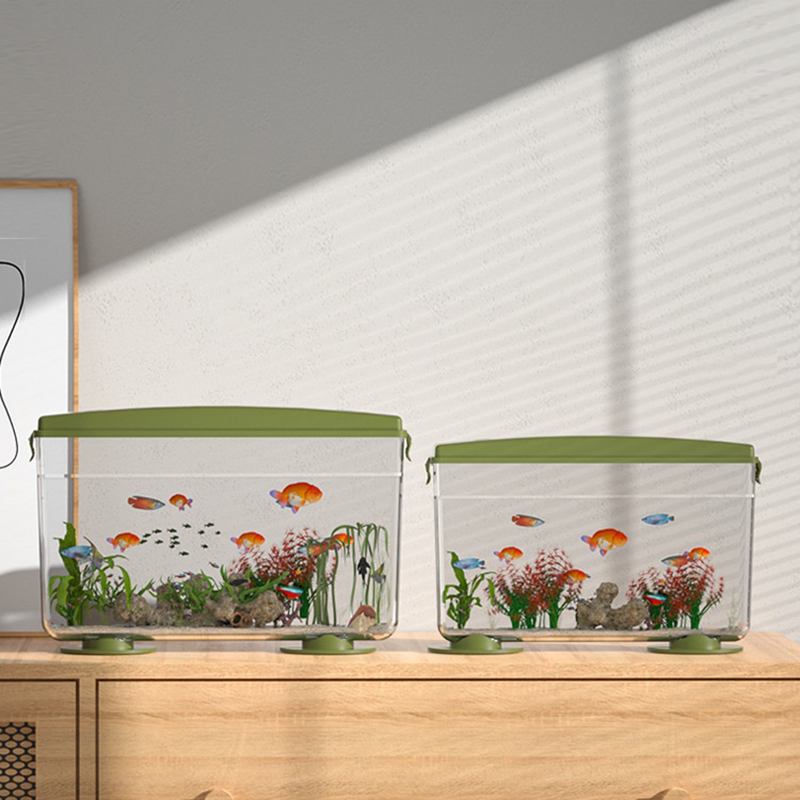 Small Fish Shrimps Turtle Tank - Aquarium Fish In Bowl 评论和价格