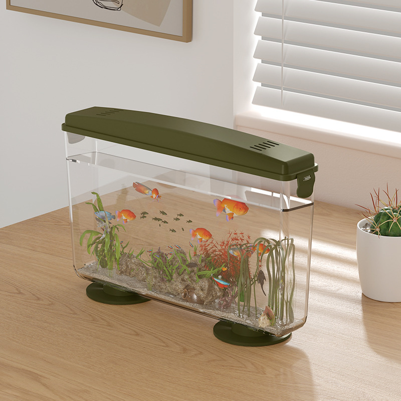 Small Fish Shrimps Turtle Tank - Aquarium Fish In Bowl 评论和价格