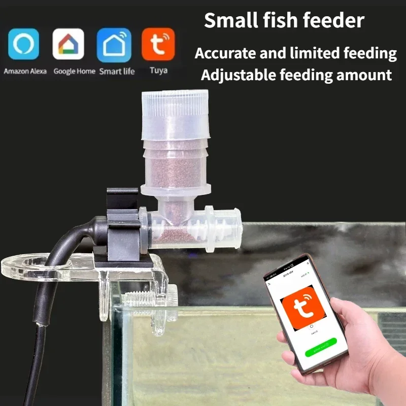 Best Automatic Fish Feeder - W - Aquarium Fish Auto Feeder 评论和价格