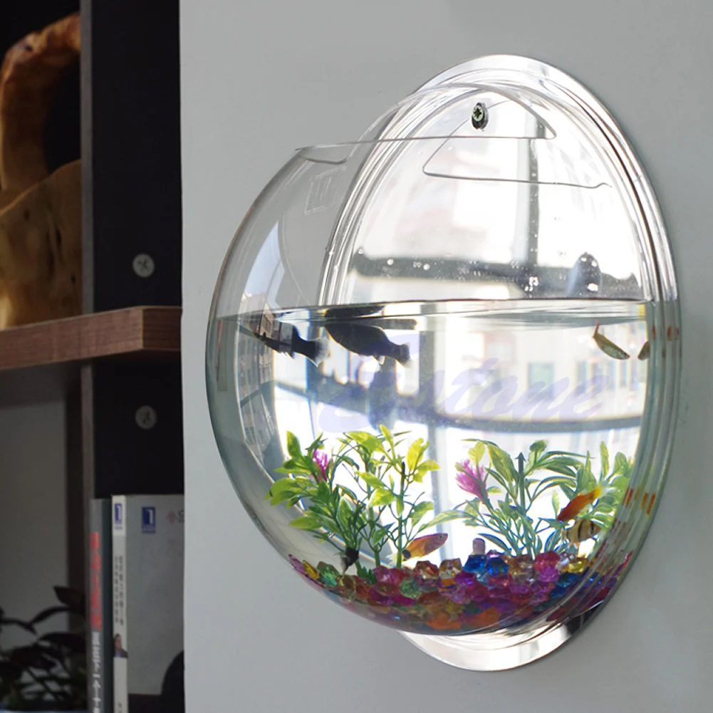 Pot Wall Hanging Mount Bubble  - Aquarium Fish In Bowl 评论和价格