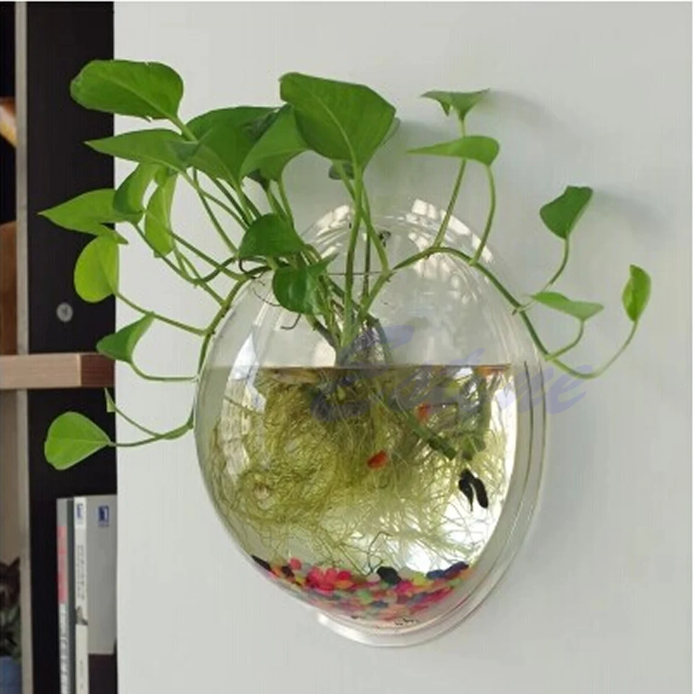 Pot Wall Hanging Mount Bubble  - Aquarium Fish In Bowl 评论和价格