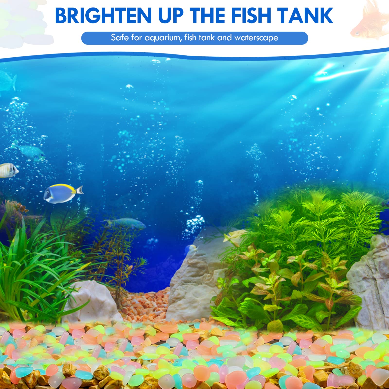 100Pcs Glow in the Dark Garden - Aquarium Fish That Glow In The Dark 评论和价格