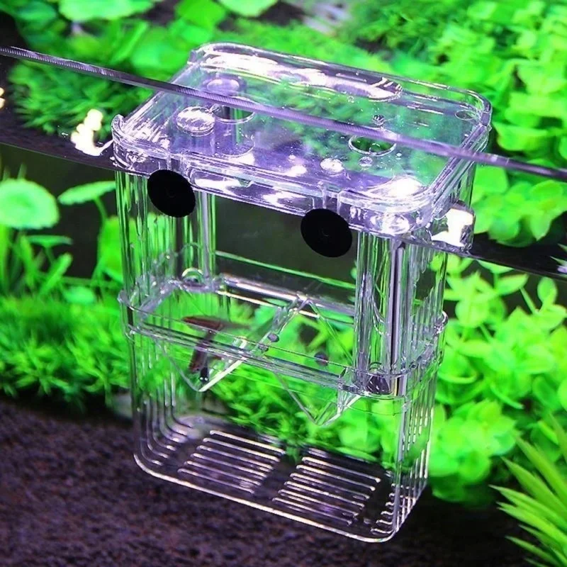 Multifunctional Fish Aquarium  - Aquarium Fish In Bowl 评论和价格