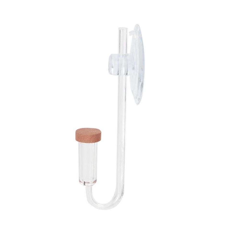 Acrylic Mini Fish Tank Live Pl - Live Fish Aquarium 评论和价格