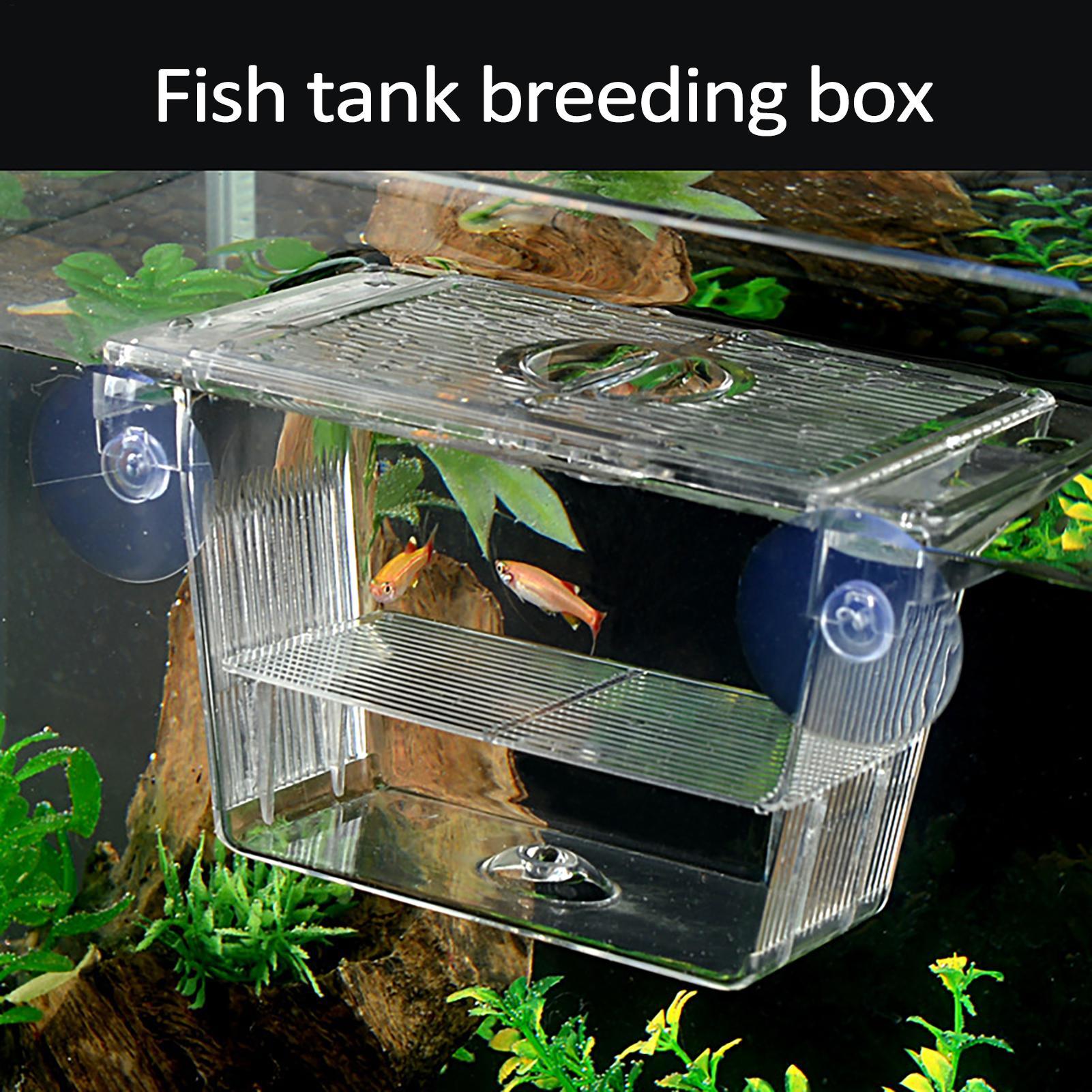 Breeder Box for Fish Tank Tran - Aquarium Fish In Bowl 评论和价格