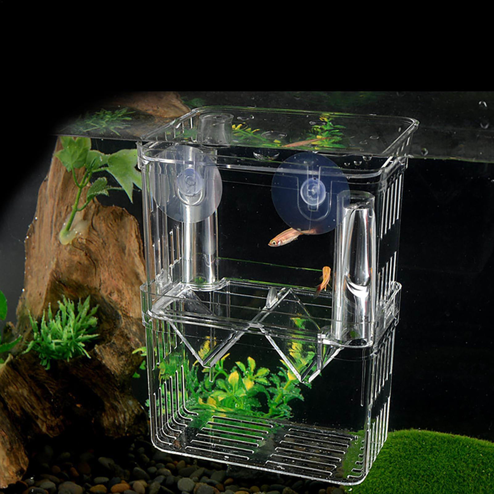 Breeder Box for Fish Tank Tran - Aquarium Fish In Bowl 评论和价格