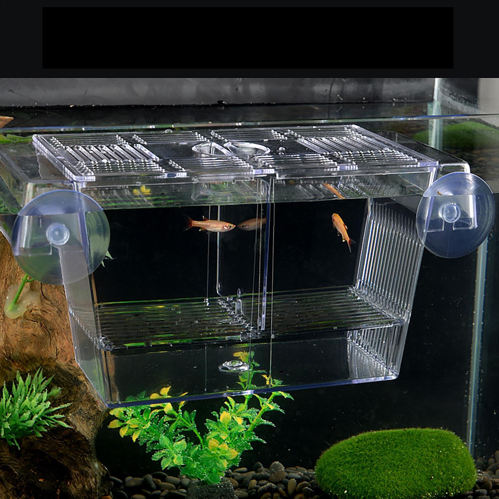 Breeder Box for Fish Tank Tran - Aquarium Fish In Bowl 评论和价格
