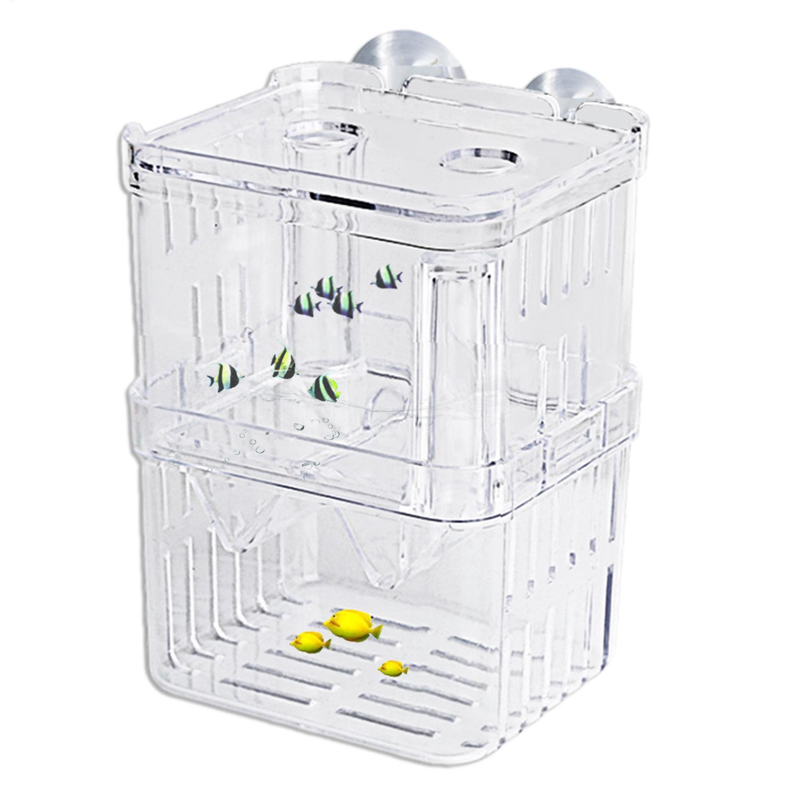 Breeder Box for Fish Tank Tran - Aquarium Fish In Bowl 评论和价格