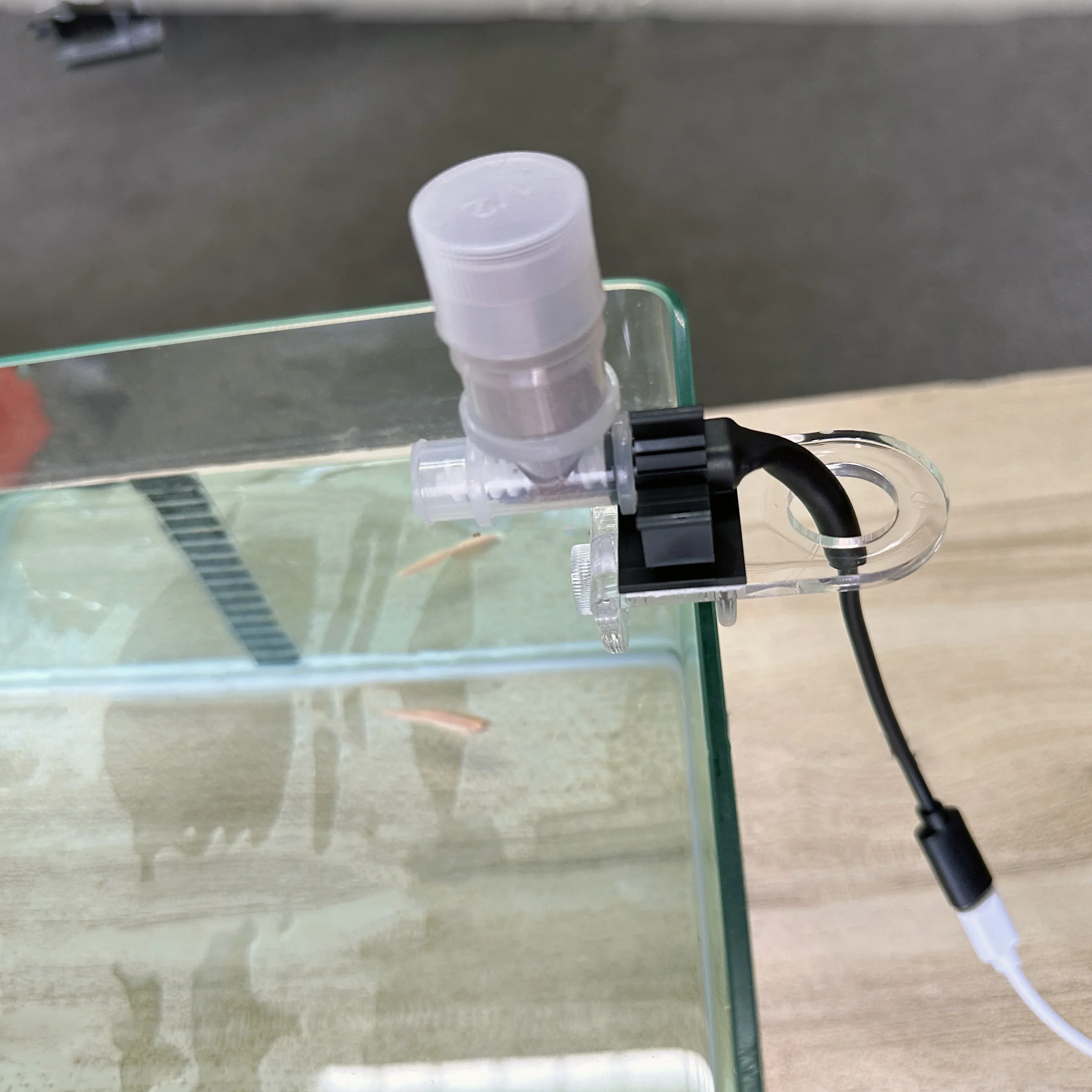 Best Automatic Fish Feeder - W - Aquarium Fish Auto Feeder 评论和价格