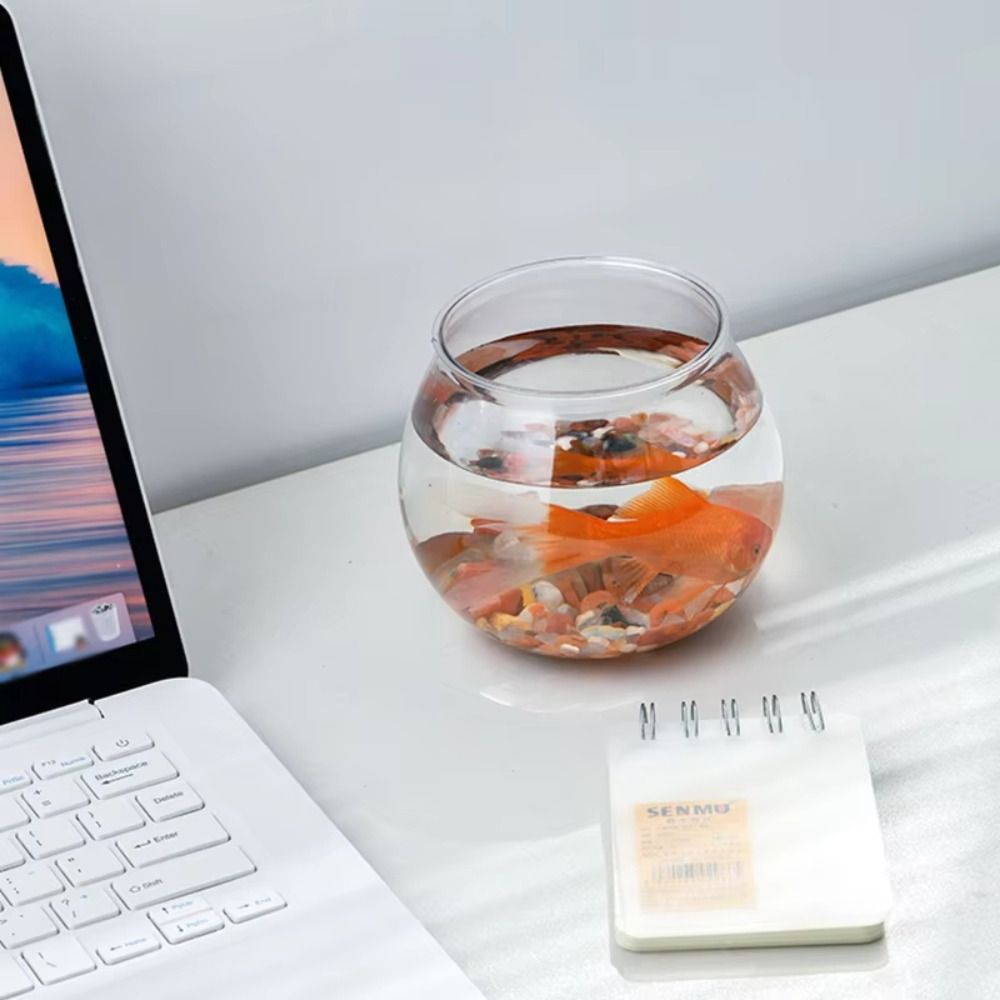 New Transparent Fish Tank Roun - Aquarium Fish In Bowl 评论和价格