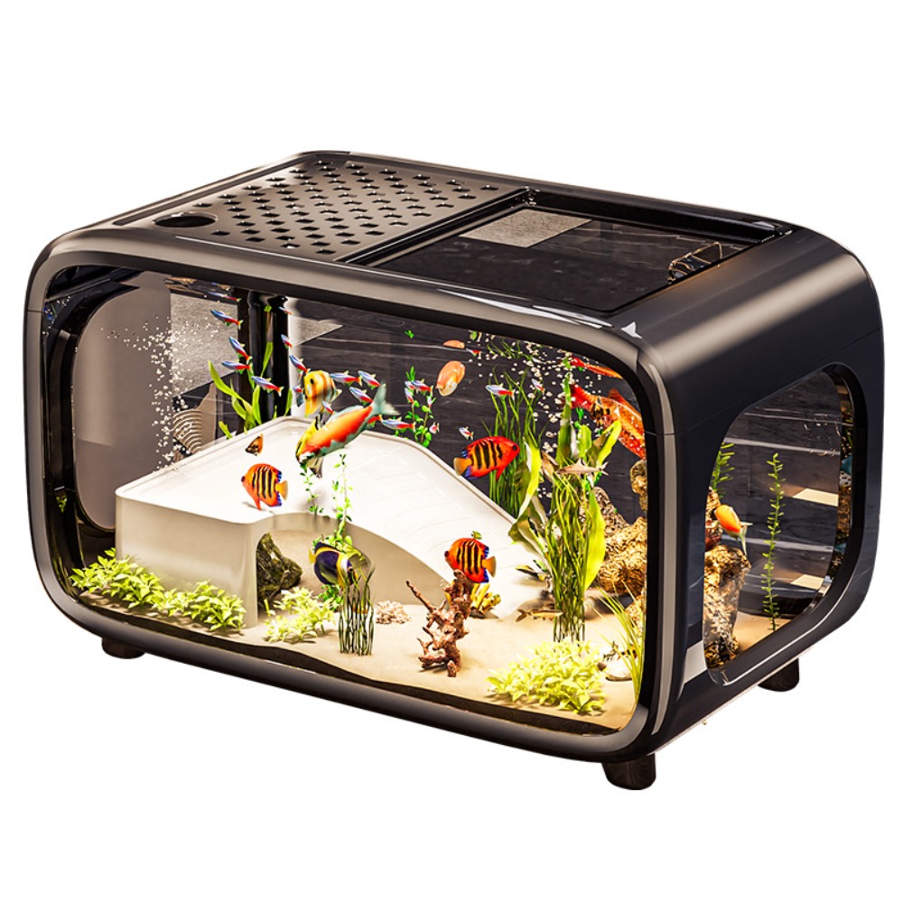 Creative Transparent Ecologica - Live Fish Aquarium 评论和价格