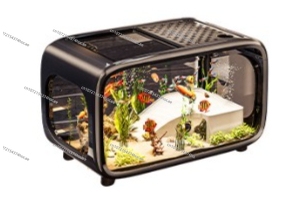 Creative Transparent Ecologica - Live Fish Aquarium 评论和价格
