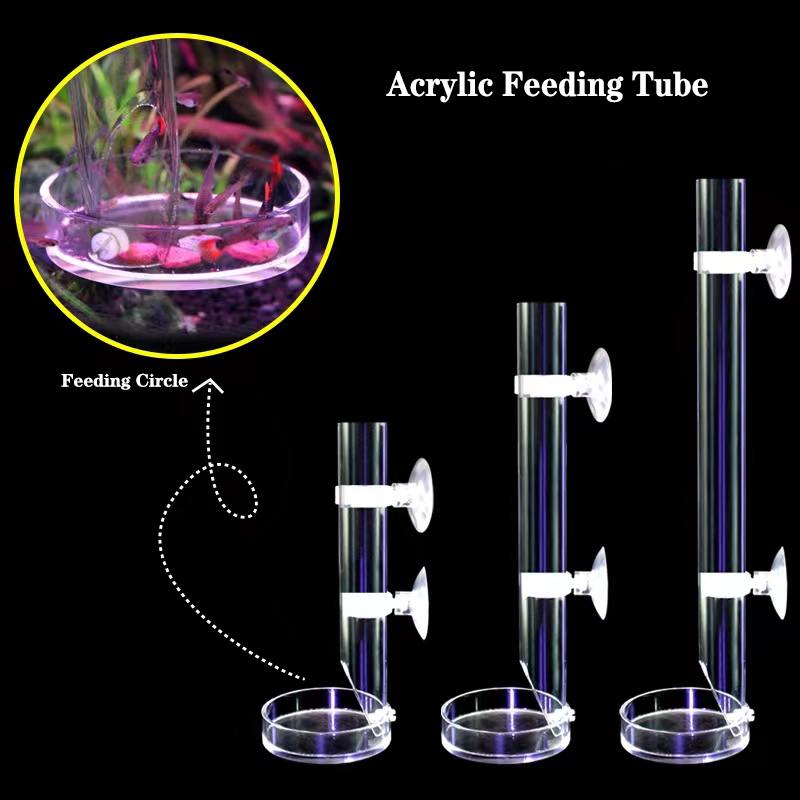 1Pcs Acrylic Aquarium Feeder T - Aquarium Fish Auto Feeder 评论和价格