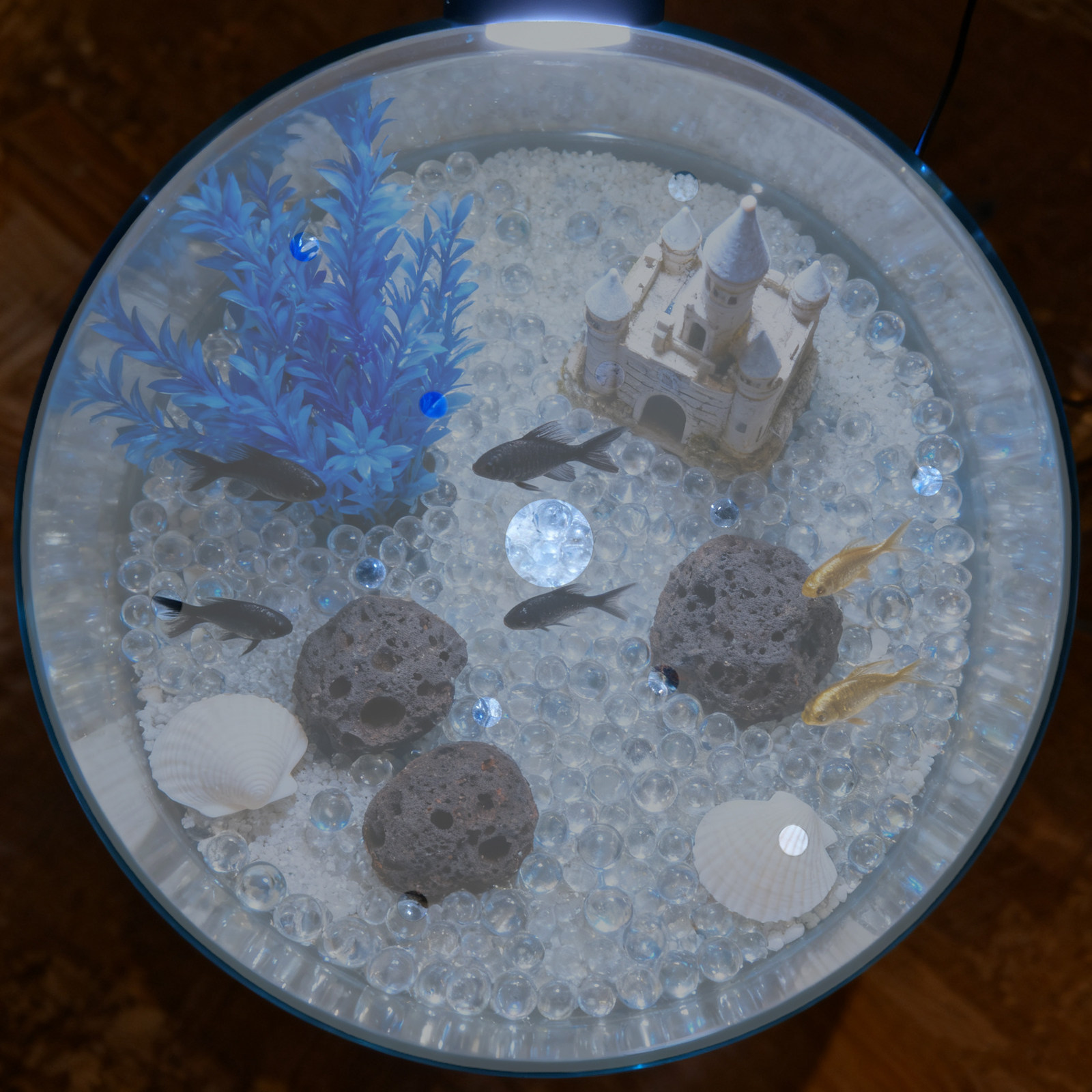7 Inch Round Acrylic Fish Tank - Aquarium Fish In Bowl 评论和价格