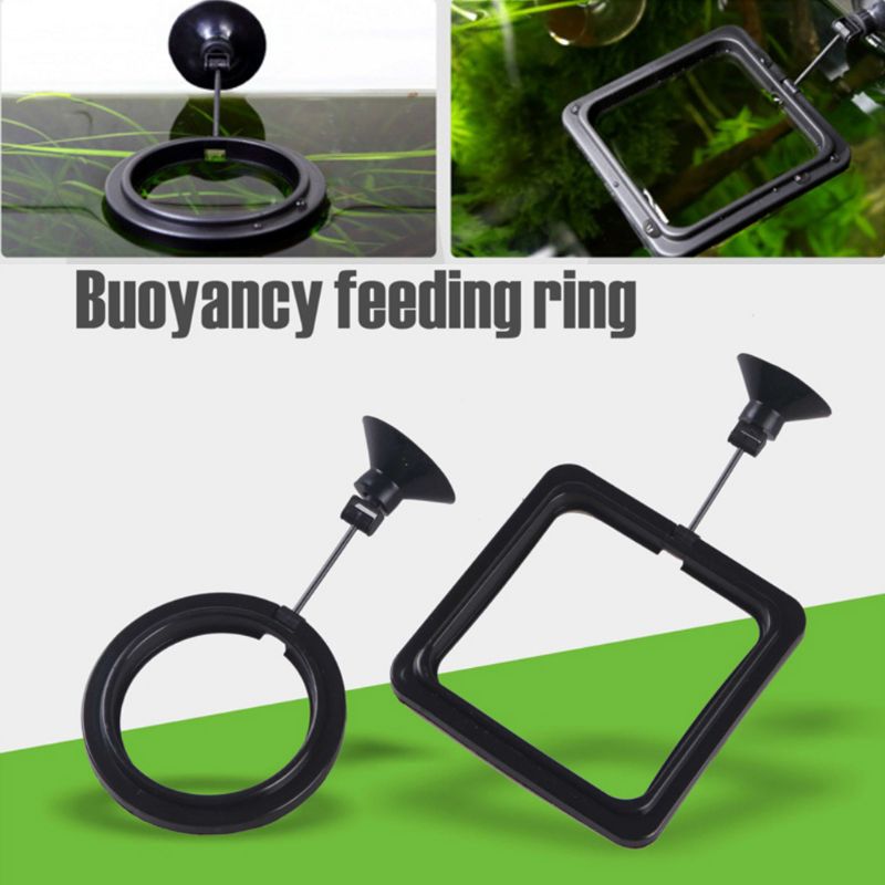 Aquarium Fish Feeding Ring Fis - Aquarium Fish Auto Feeder 评论和价格